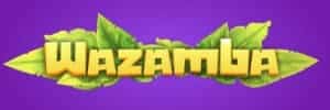 Blaze aplicativo